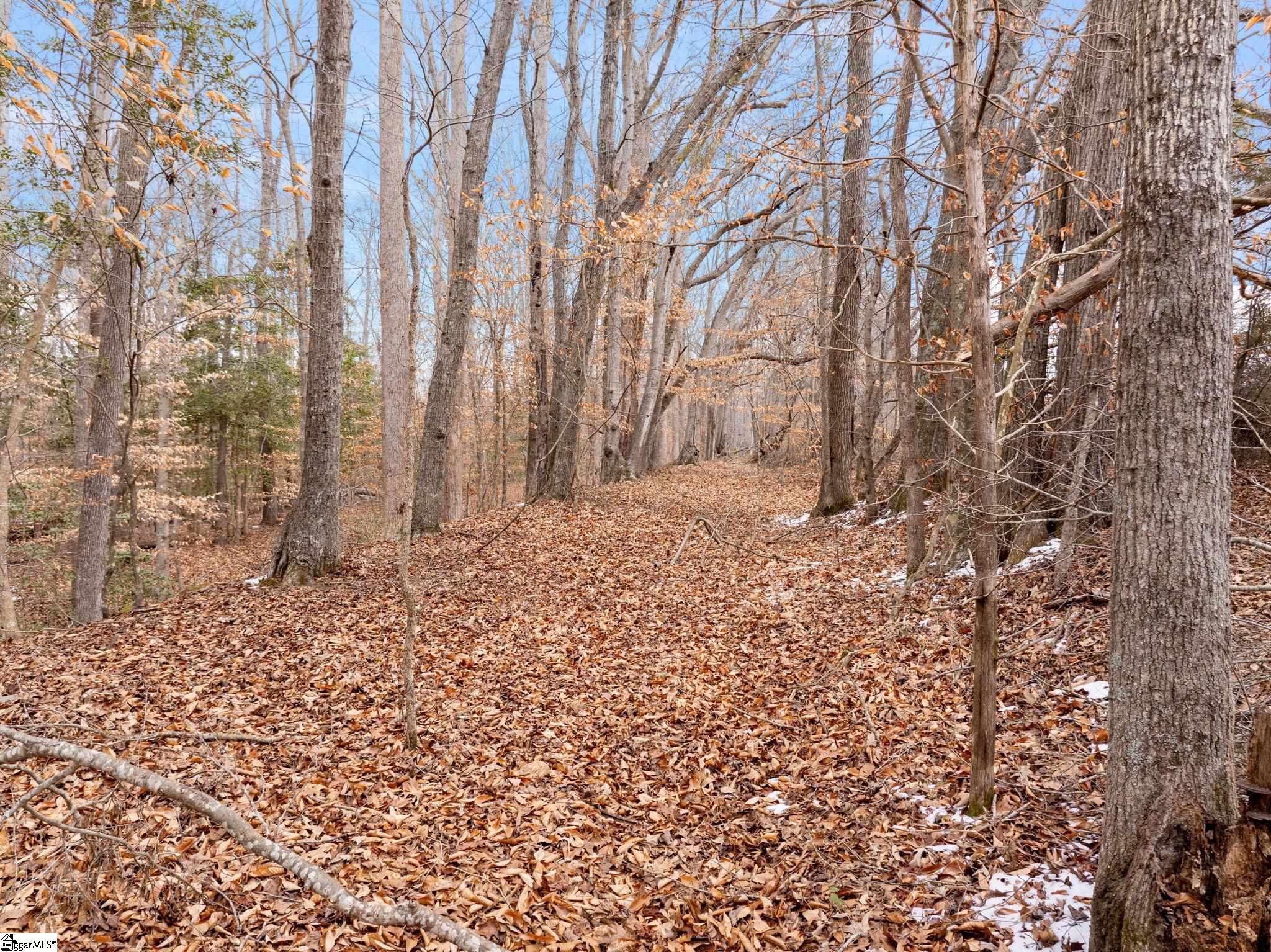 1709 River Road Woodruff, SC 29388 - Photo 15 of 28