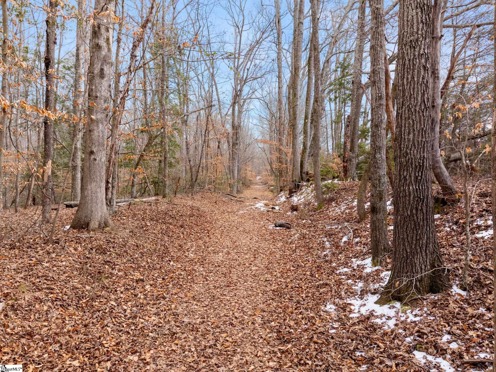 1709 River Road Woodruff, SC 29388 - Photo 16 of 28
