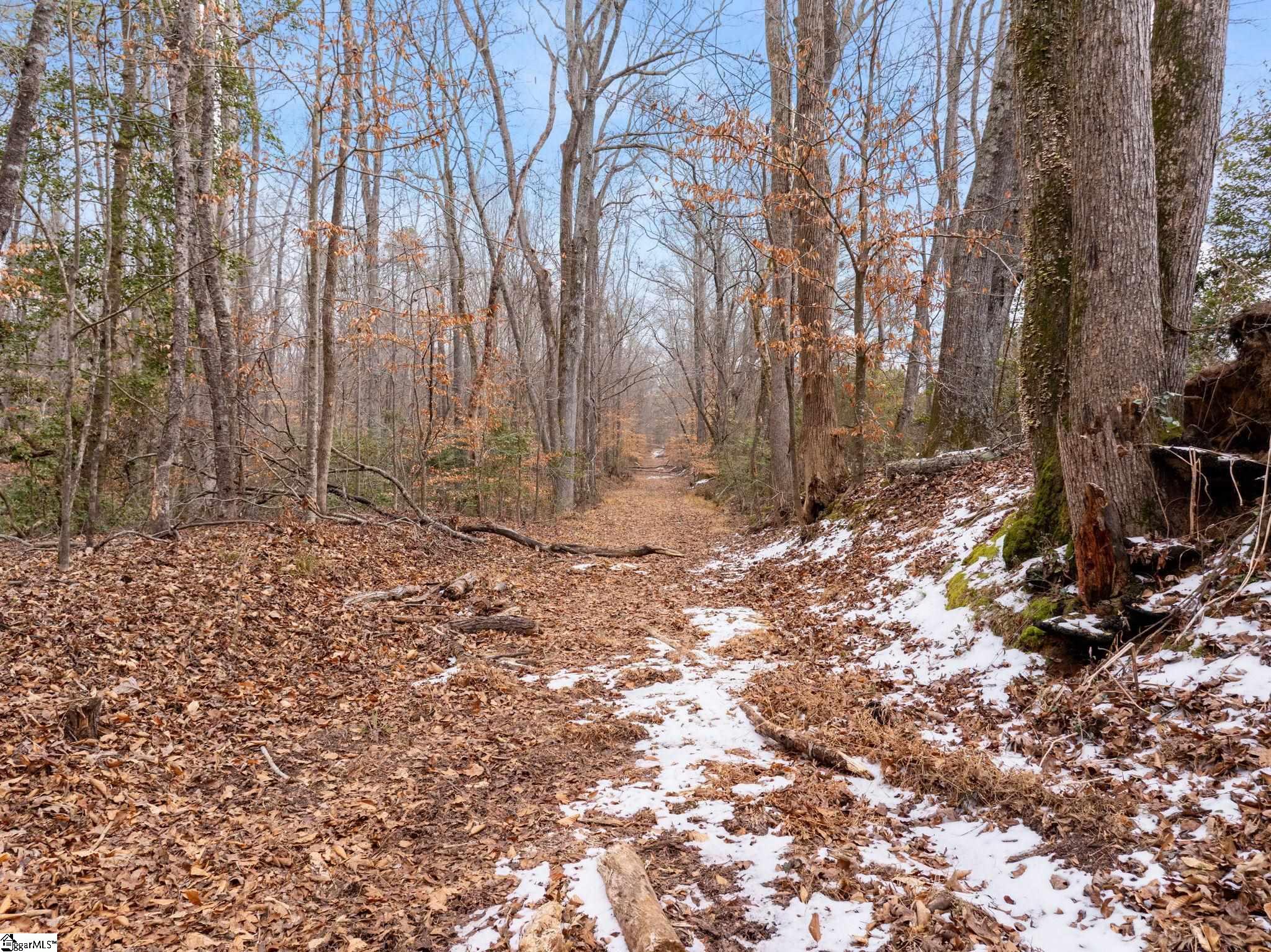 1709 River Road Woodruff, SC 29388 - Photo 17 of 28