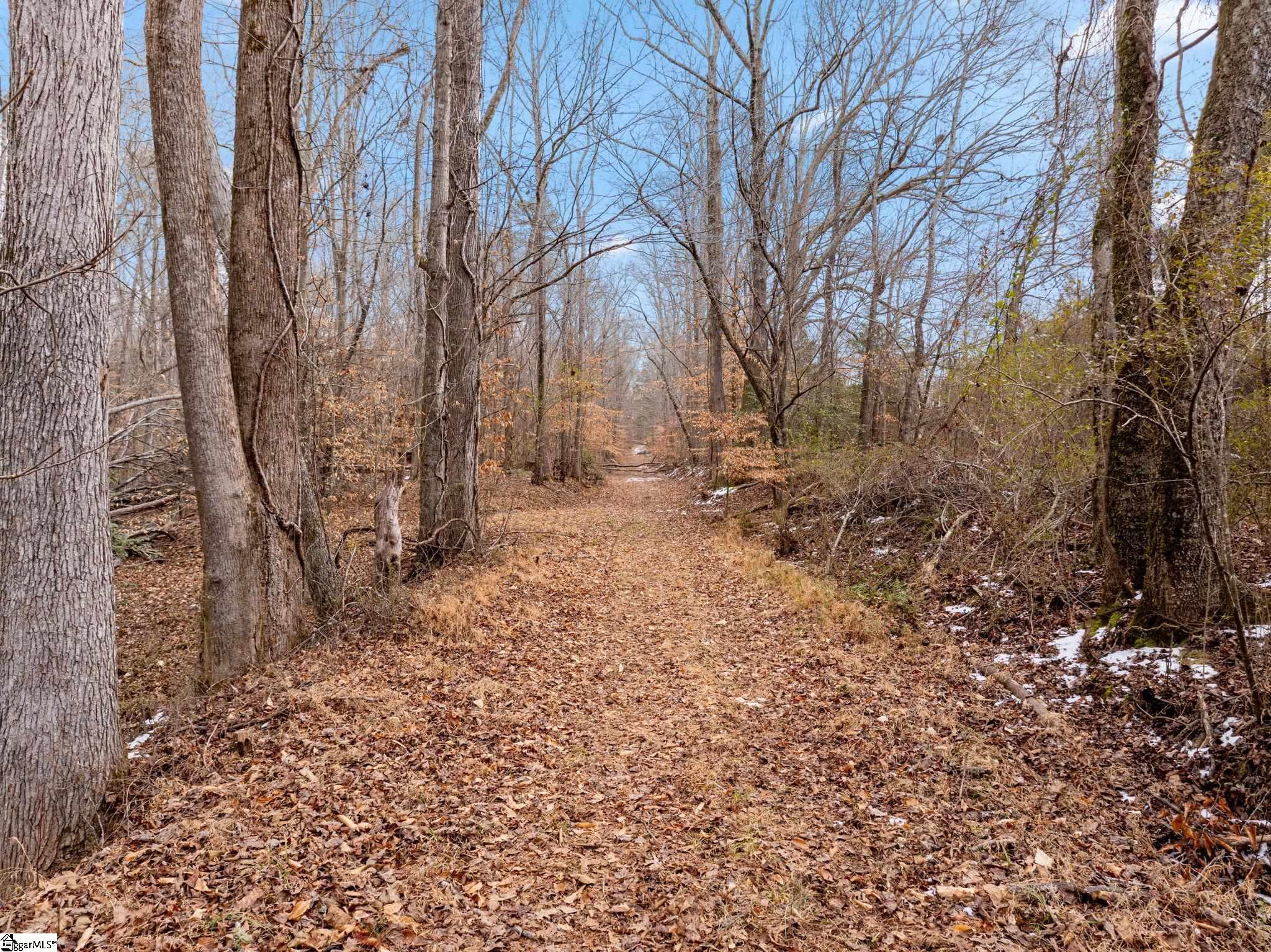 1709 River Road Woodruff, SC 29388 - Photo 18 of 28