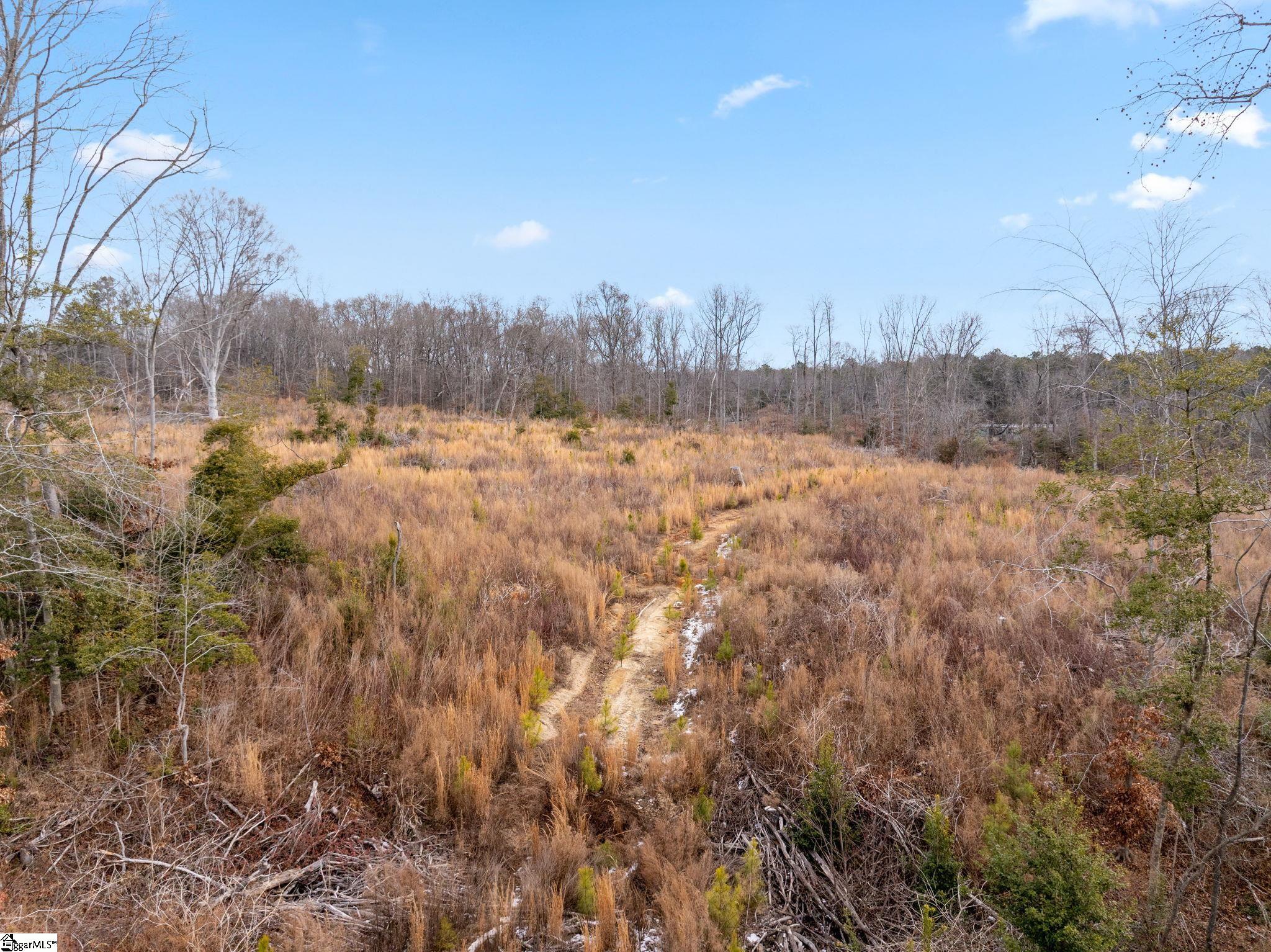 1709 River Road Woodruff, SC 29388 - Photo 26 of 28
