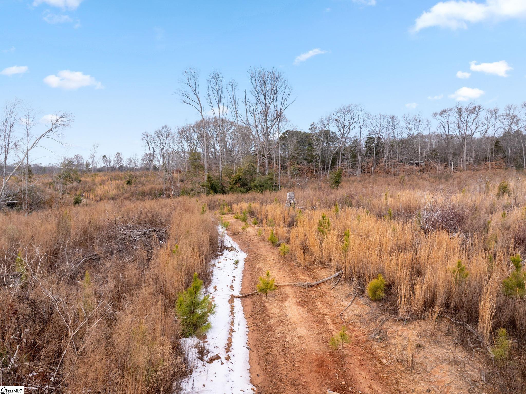 1709 River Road Woodruff, SC 29388 - Photo 27 of 28