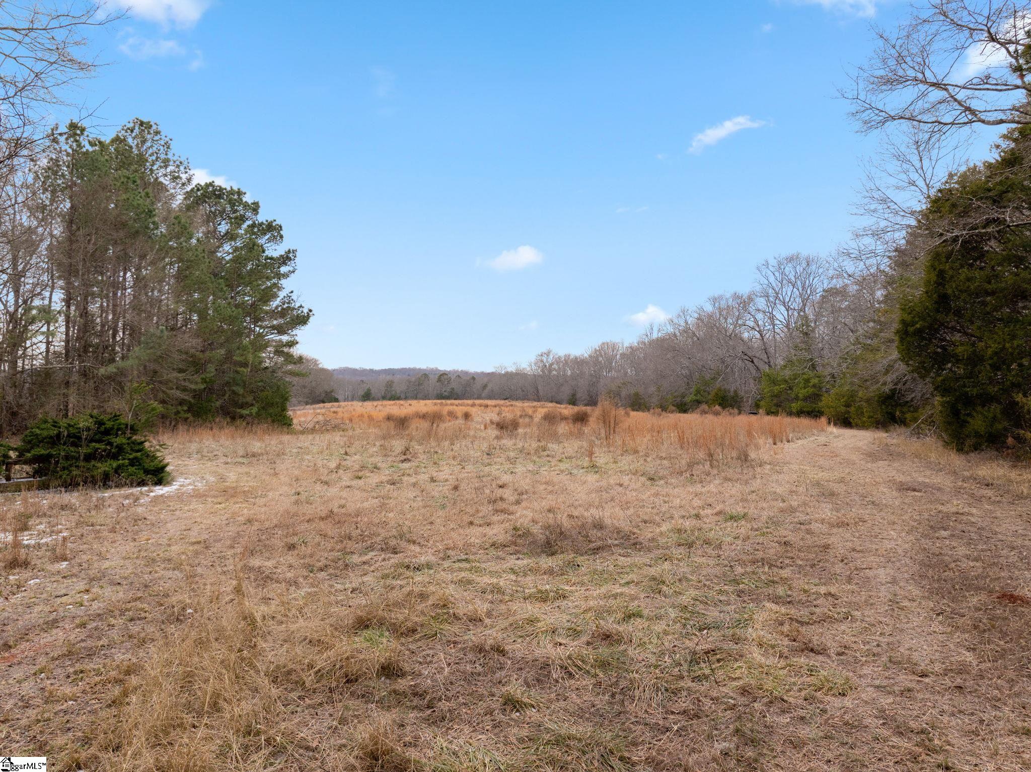 1709 River Road Woodruff, SC 29388 - Photo 8 of 28