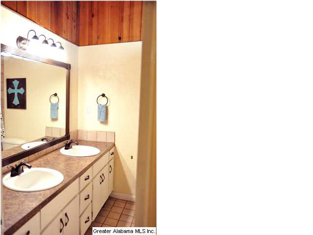 229 Snake Hill Road Trussville, AL 35173 - Photo 13 of 25