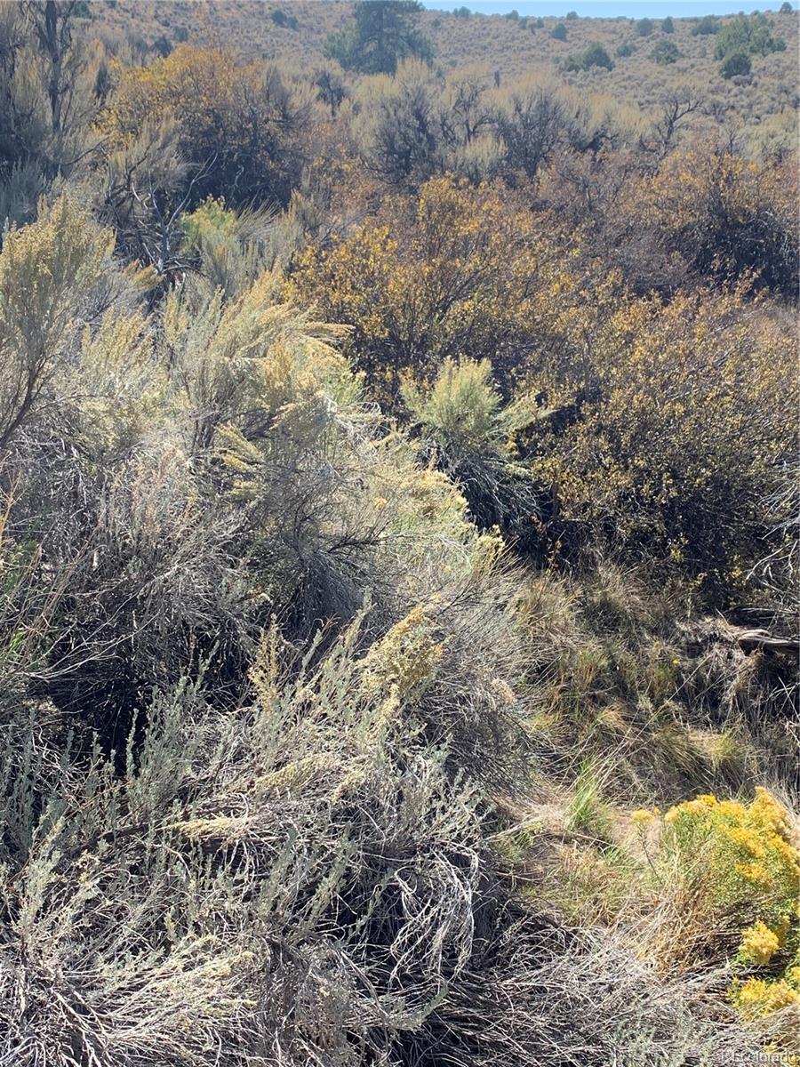 4916 Kean Road Fort Garland, CO 81133 - Photo 6 of 20 Gallery Image 6