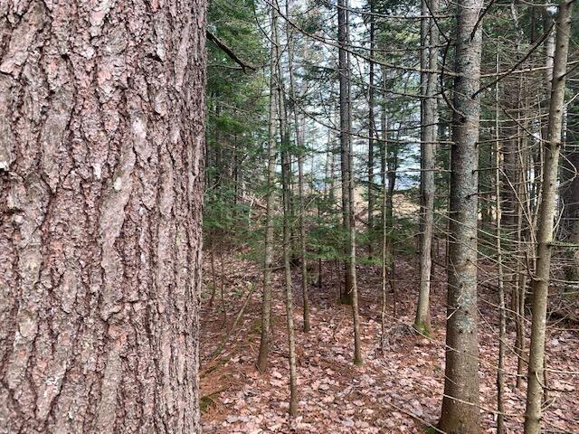 9764 North Whitefish Point Road Paradise, MI 49768 - Photo 10 of 13 Gallery Image 10