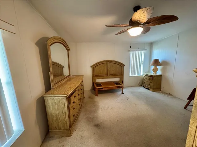 a view of park benches sitting below a green tree