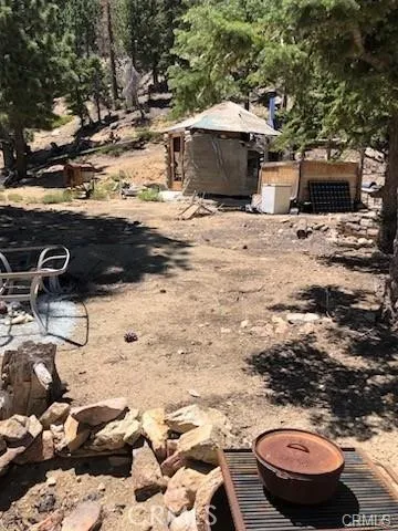 a view of a yard with trees