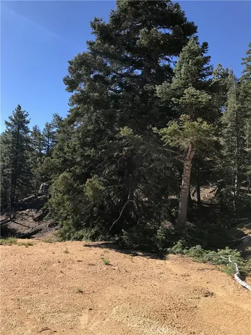 $95,000 | 0 Rainbow Lane, Angelus Oaks, CA 92305