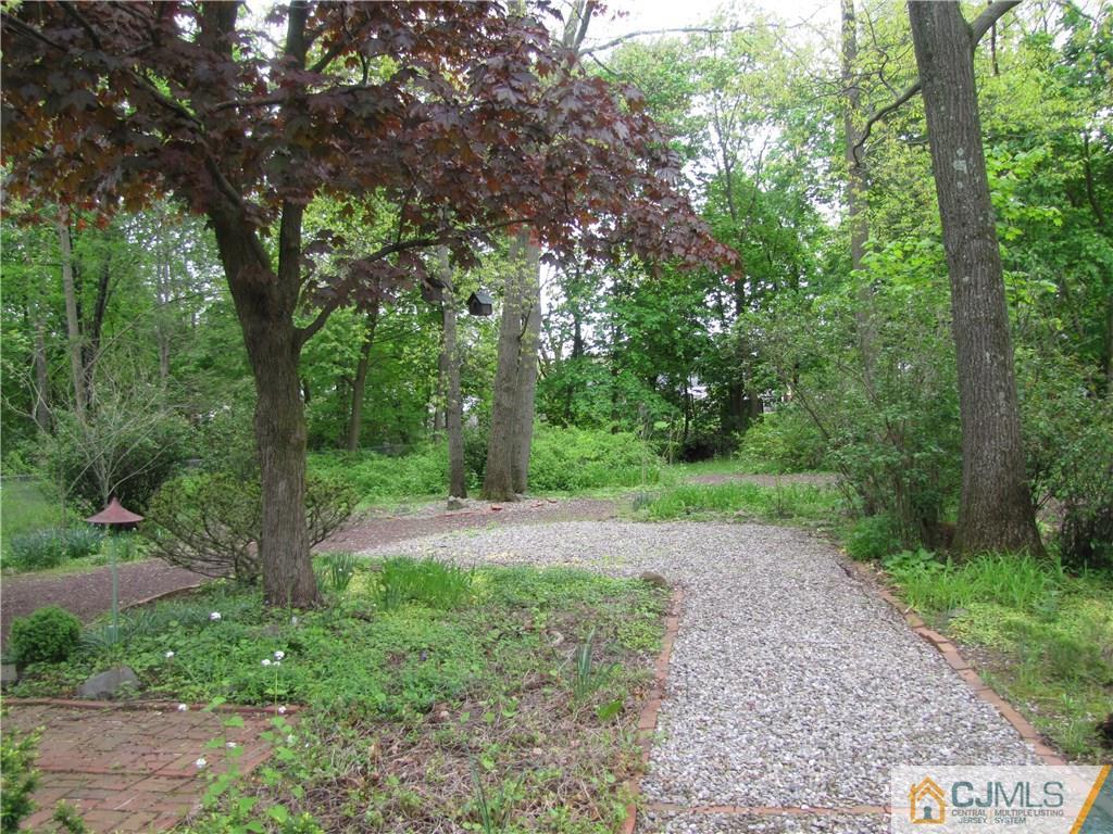 32 Raleigh Road Kendall Park, NJ 08824 - Photo 16 of 18 a view of backyard with green space