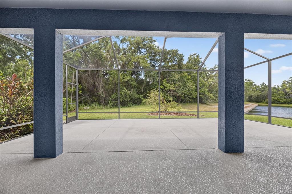 3506 Wicket Field Road Lutz, FL 33548 - Photo 4 of 31