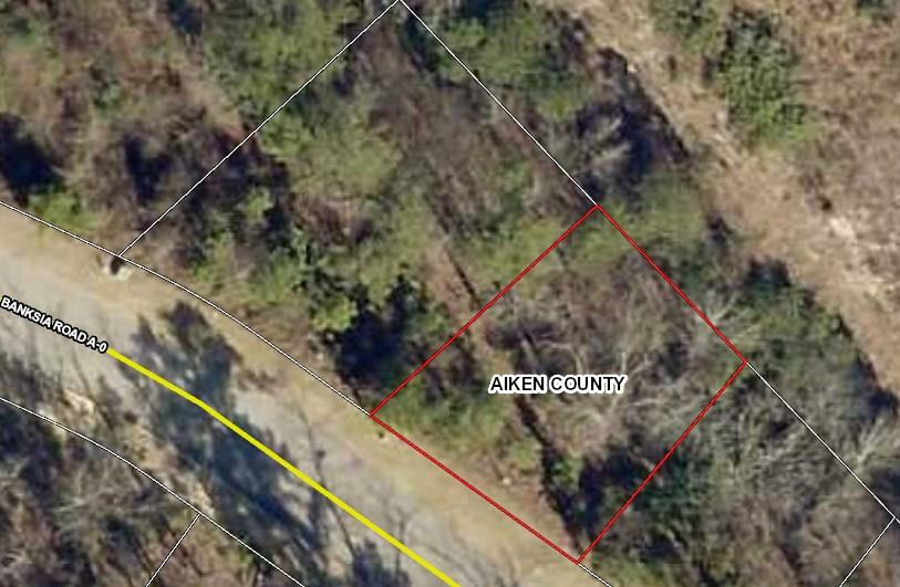 216 Banksia Road Aiken, SC 29803 - Photo 3 of 3