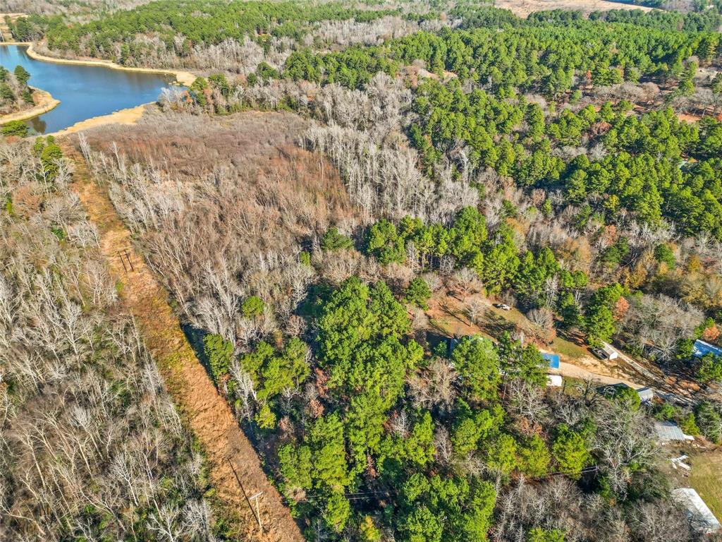 17741 County Road 431 Lindale, TX 75771 - Photo 13 of 19