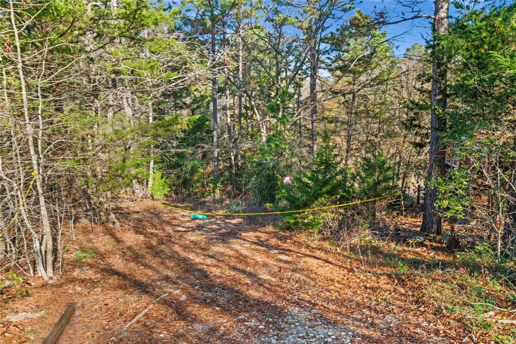 17741 County Road 431 Lindale, TX 75771 - Photo 14 of 19