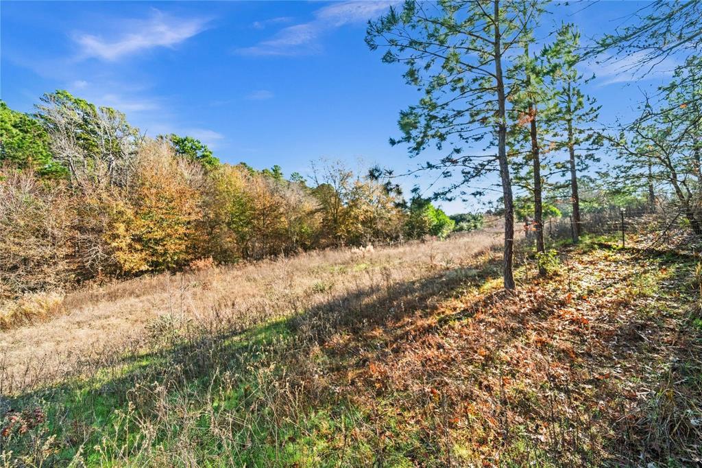 17741 County Road 431 Lindale, TX 75771 - Photo 15 of 19