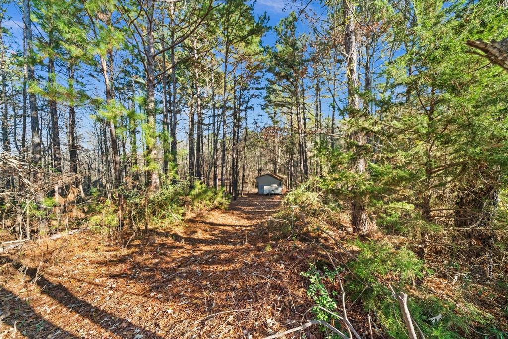 17741 County Road 431 Lindale, TX 75771 - Photo 18 of 19