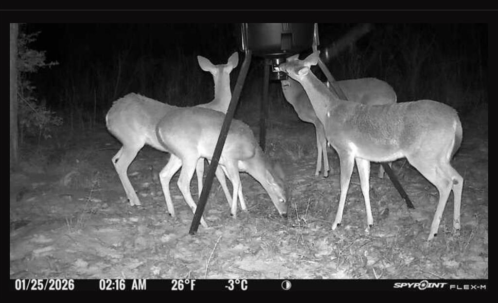 17741 County Road 431 Lindale, TX 75771 - Photo 2 of 19