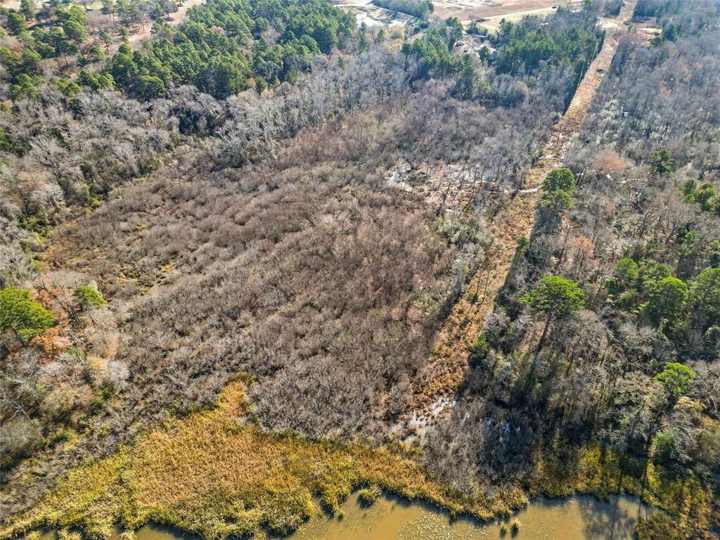 17741 County Road 431 Lindale, TX 75771 - Photo 10 of 19