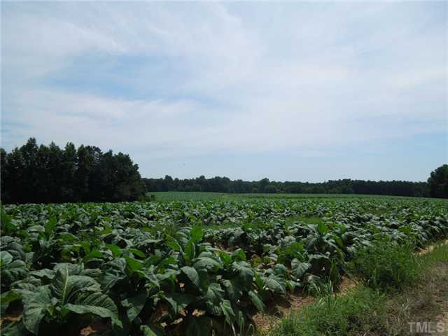 Bethany Church Road, Unit NONE Rougemont, NC 27572 - Photo 1 of 8 Main Field