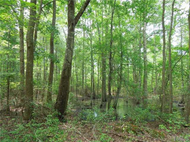 Bethany Church Road, Unit NONE Rougemont, NC 27572 - Photo 5 of 8 Hardwood bottomland