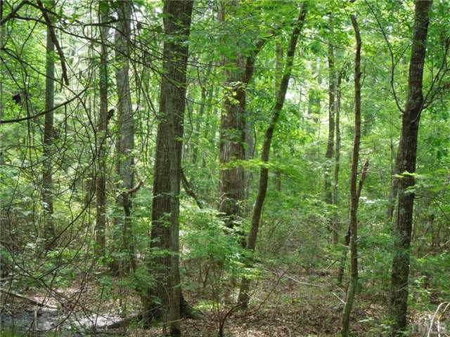 Bethany Church Road, Unit NONE Rougemont, NC 27572 - Photo 6 of 8 Hardwoods