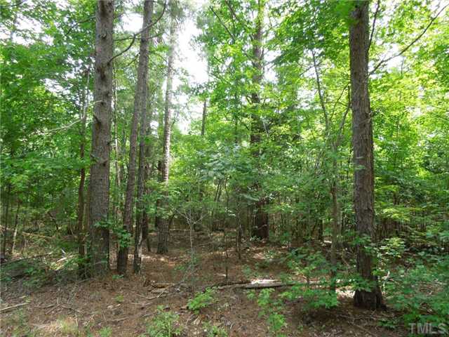 Bethany Church Road, Unit NONE Rougemont, NC 27572 - Photo 7 of 8 Pine sawtimber