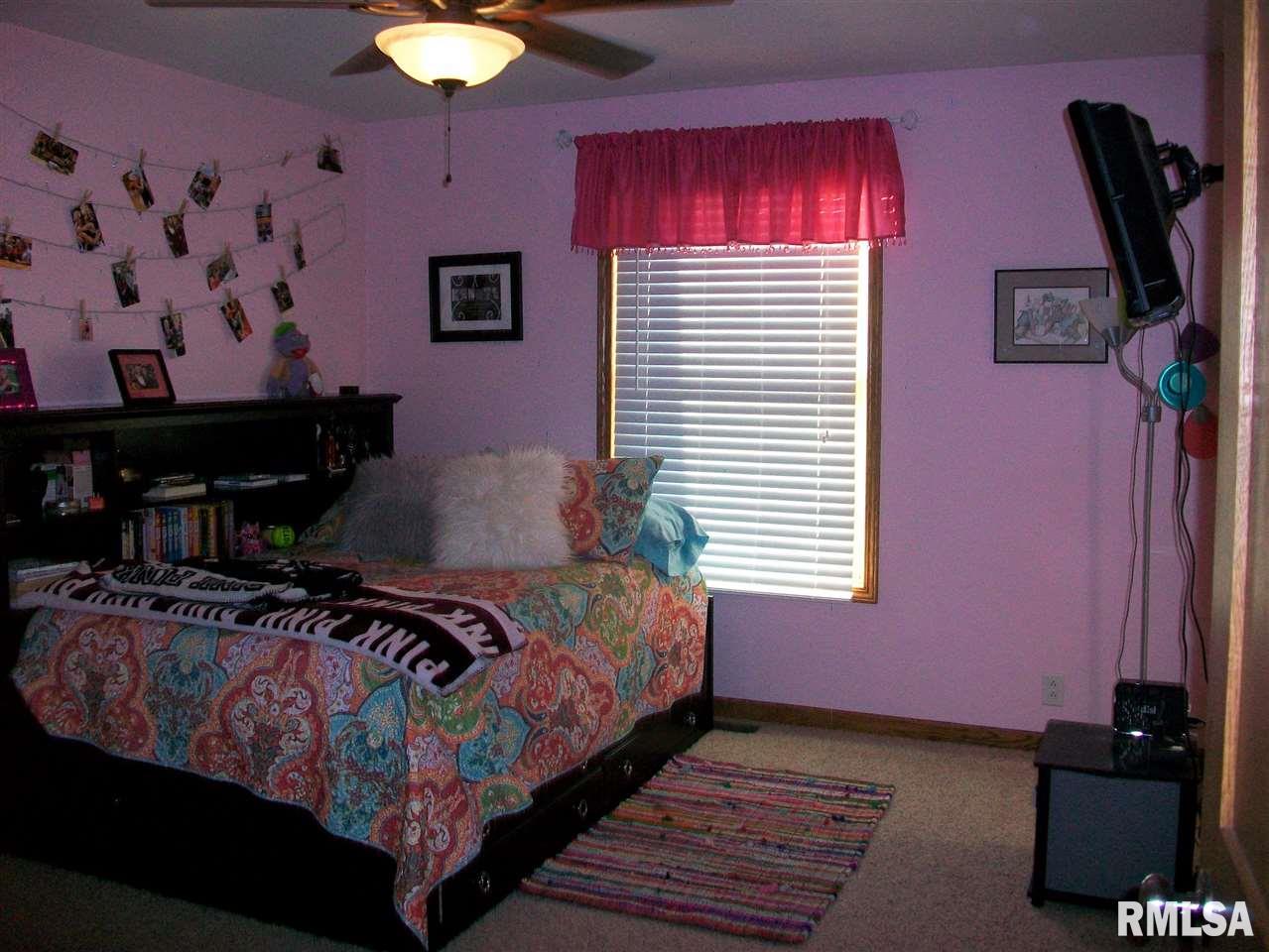 28418 North Wild Wind Road Canton, IL 61520 - Photo 17 of 35