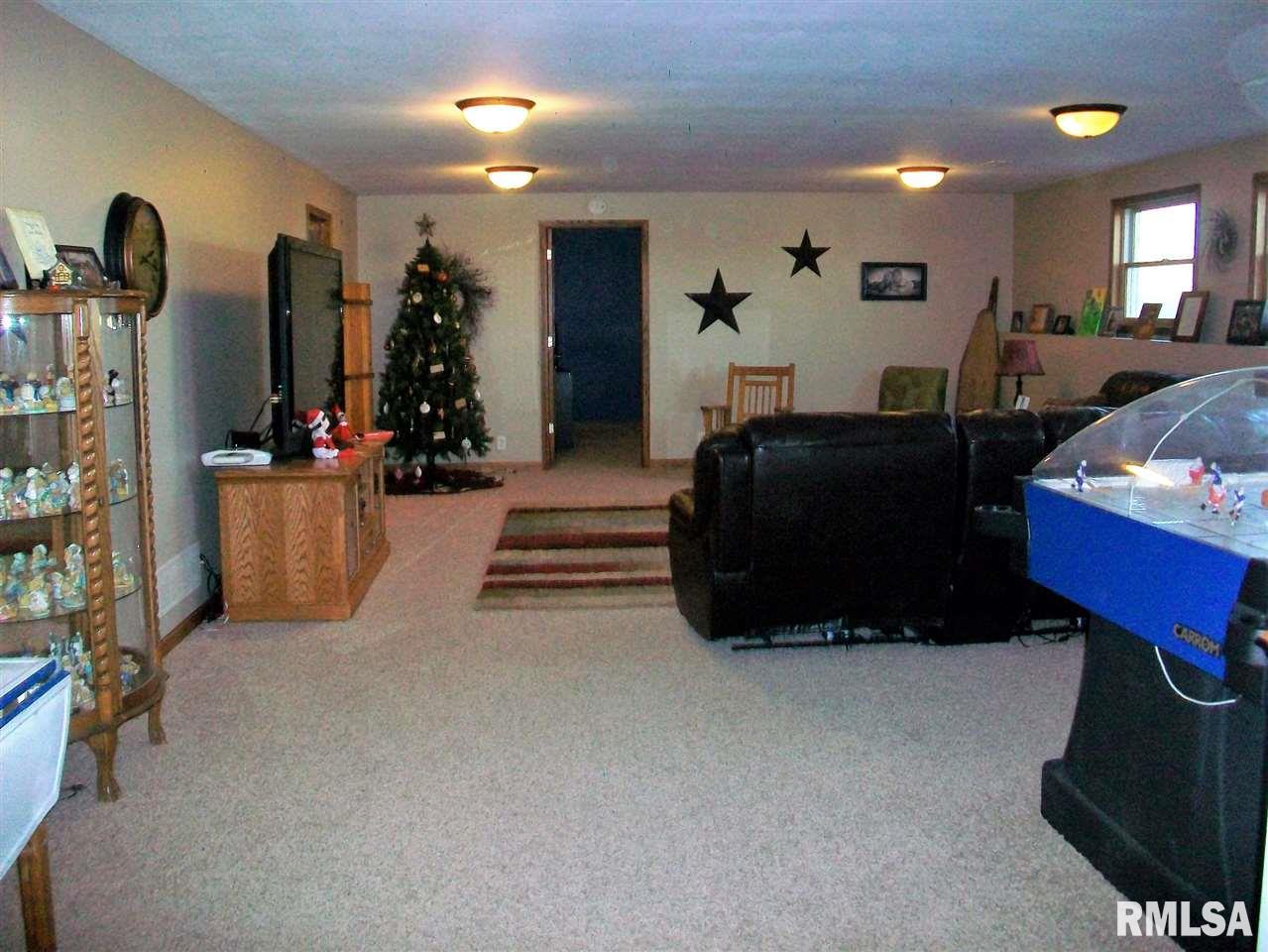 28418 North Wild Wind Road Canton, IL 61520 - Photo 26 of 35