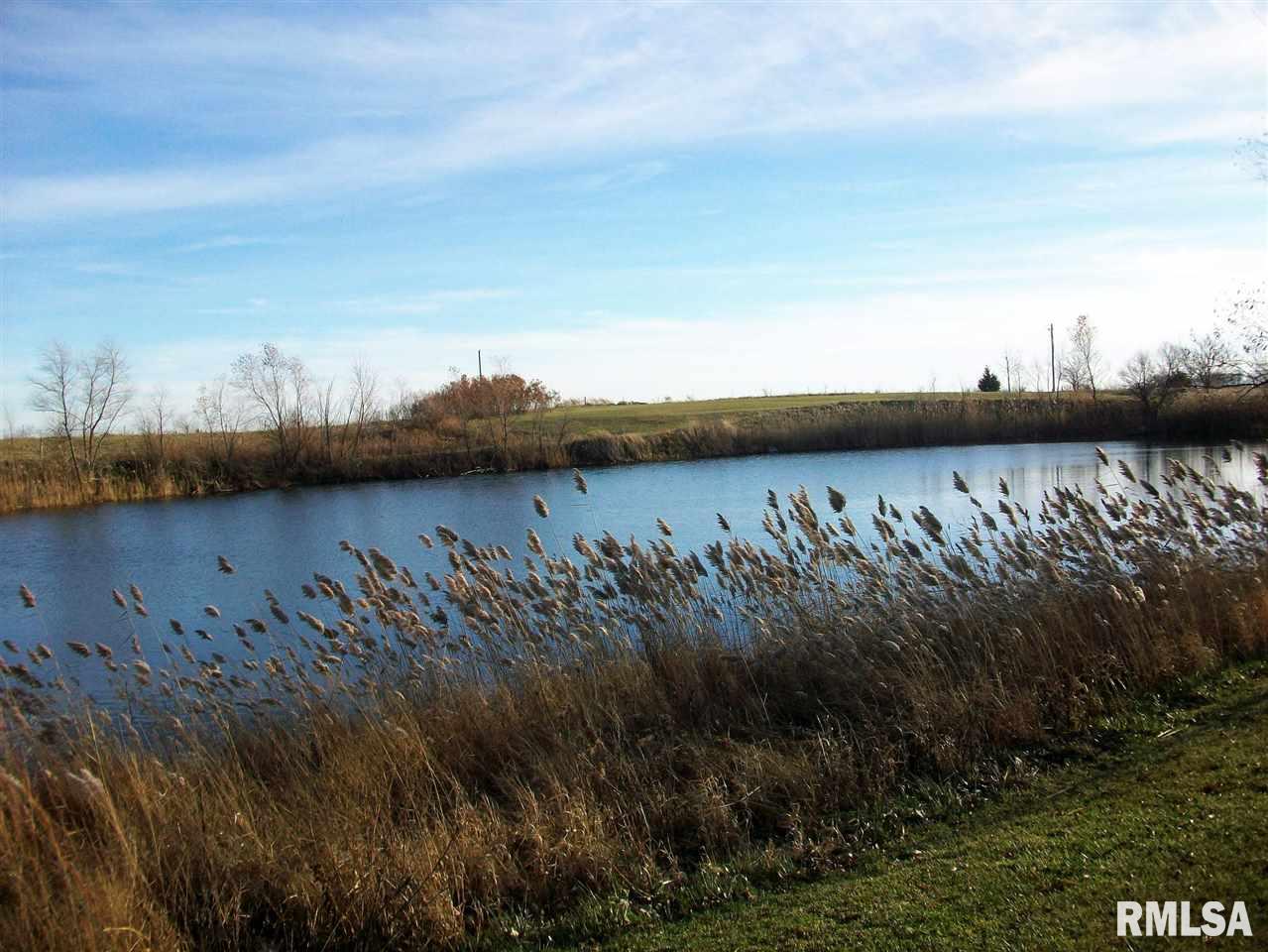 28418 North Wild Wind Road Canton, IL 61520 - Photo 33 of 35