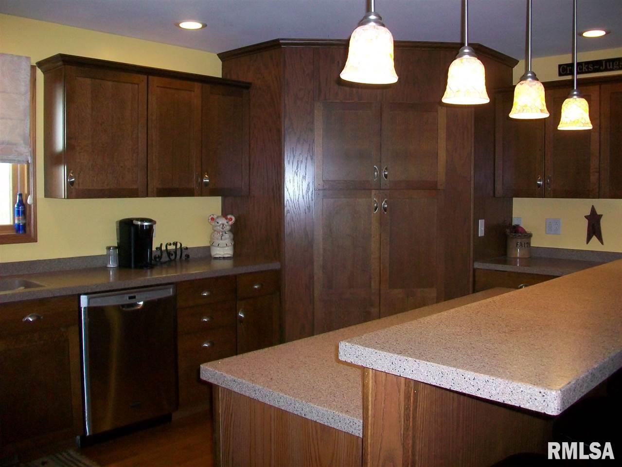 28418 North Wild Wind Road Canton, IL 61520 - Photo 10 of 35