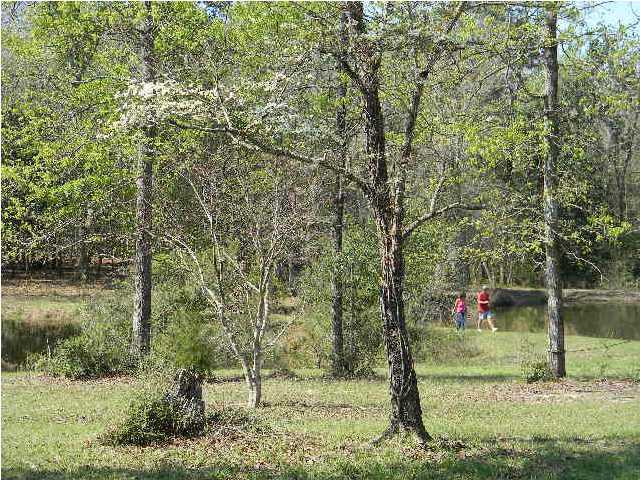 8346 Creston Barrow Road Baker, FL 32531 - Photo 3 of 13 a green field with lots of trees