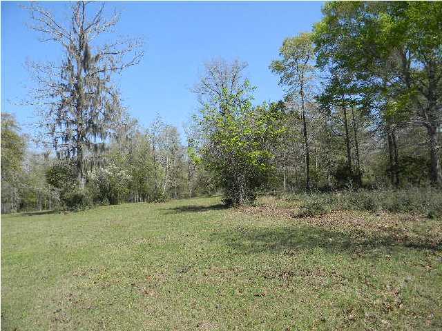 8346 Creston Barrow Road Baker, FL 32531 - Photo 7 of 13 a view of a dirt road with trees in the background