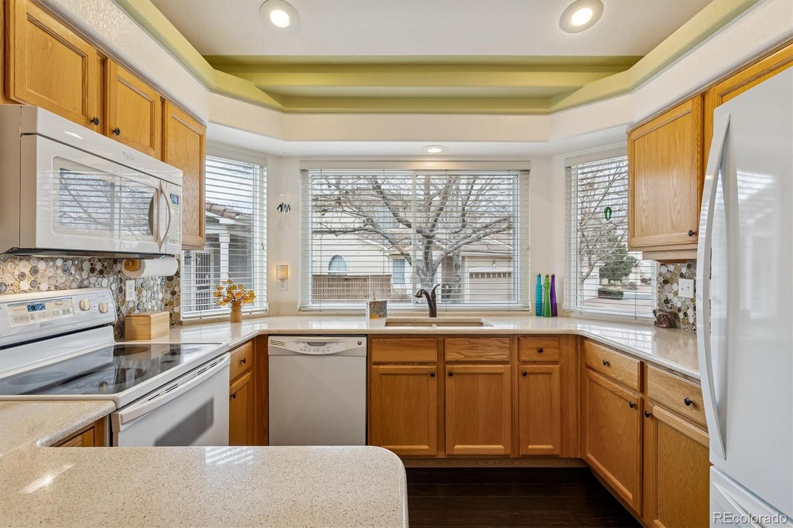 1294 Braewood Avenue Highlands Ranch, CO 80129 - Photo 12 of 27