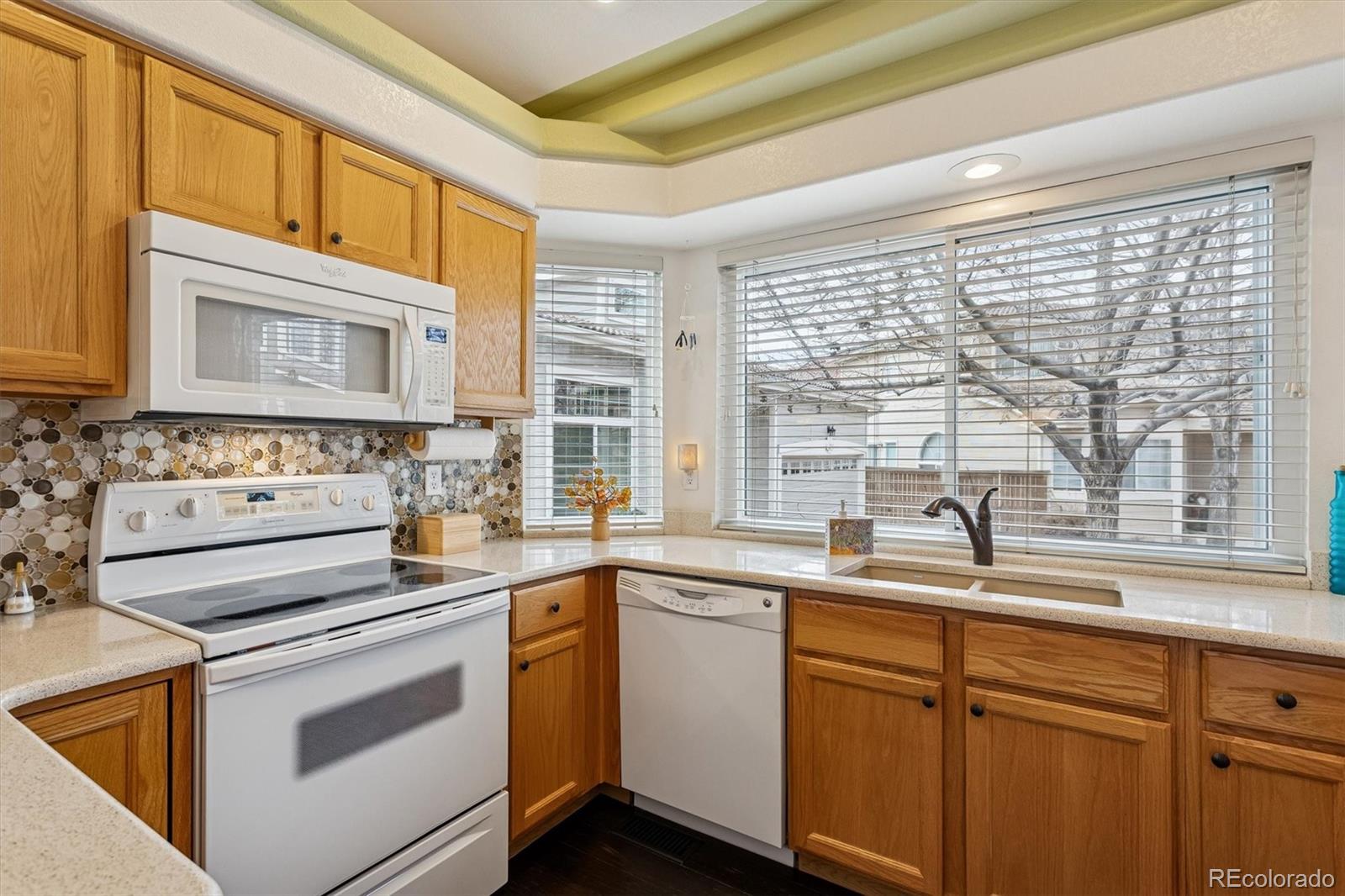 1294 Braewood Avenue Highlands Ranch, CO 80129 - Photo 13 of 27