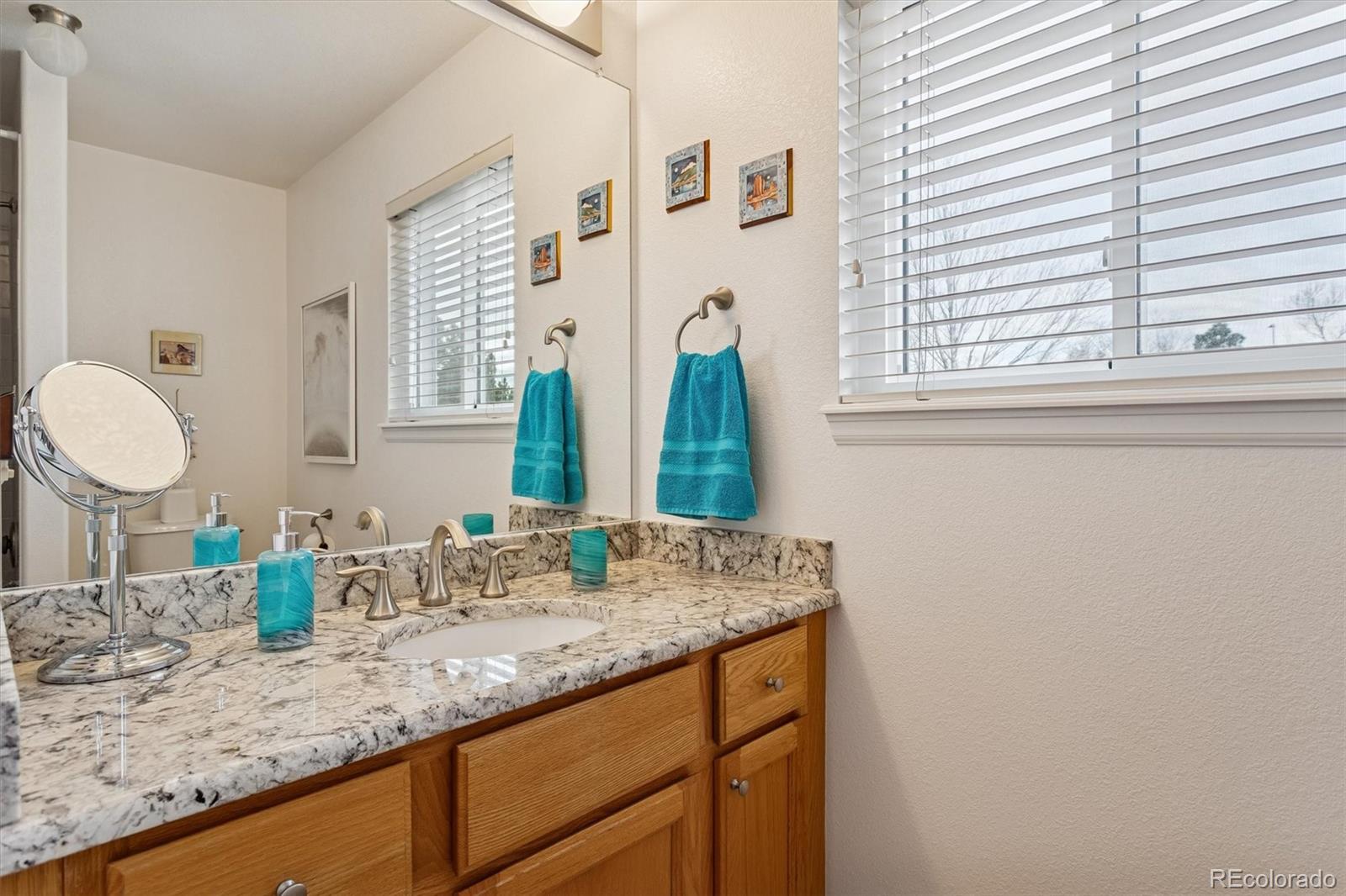 1294 Braewood Avenue Highlands Ranch, CO 80129 - Photo 21 of 27