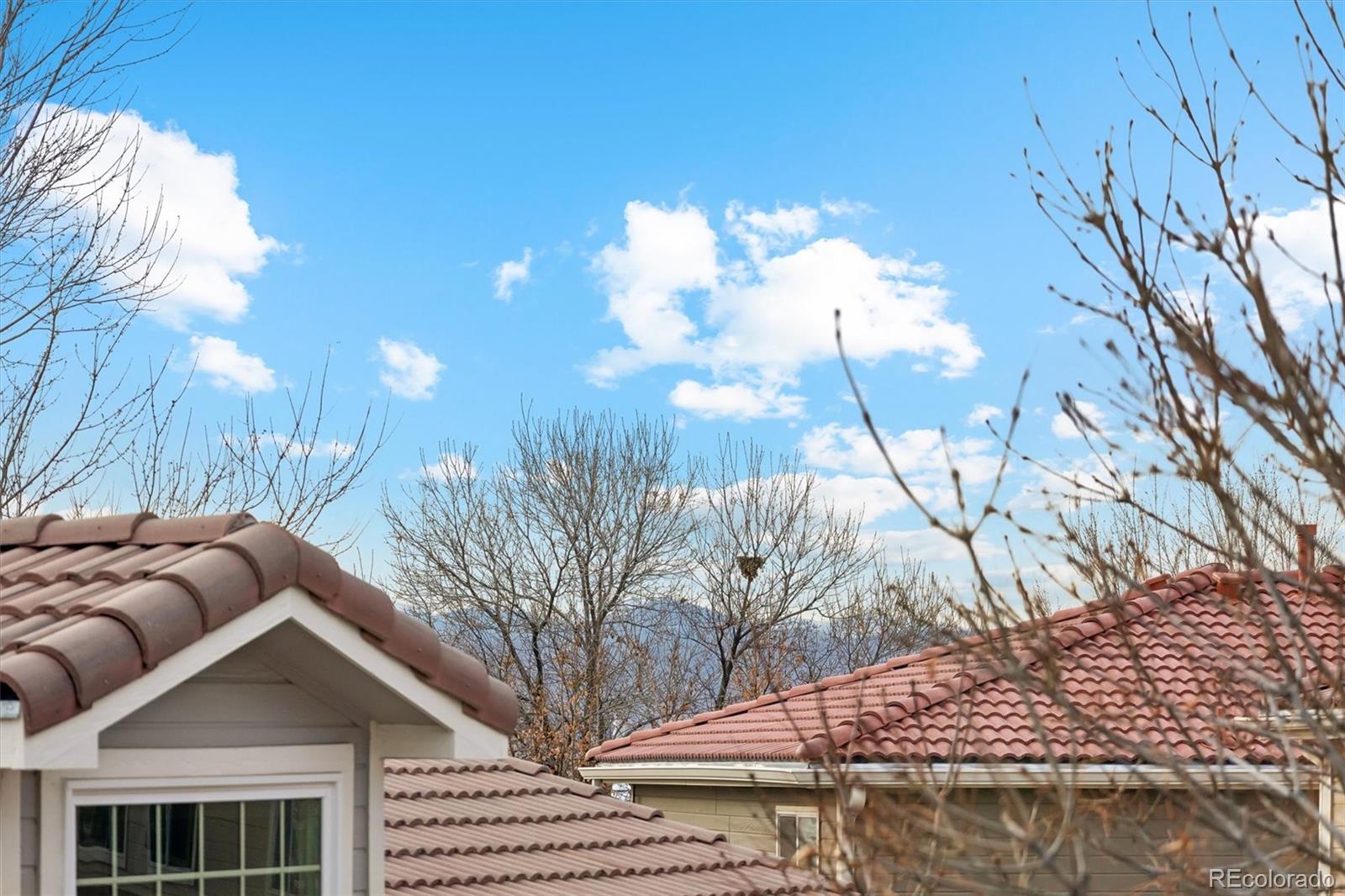 1294 Braewood Avenue Highlands Ranch, CO 80129 - Photo 26 of 27
