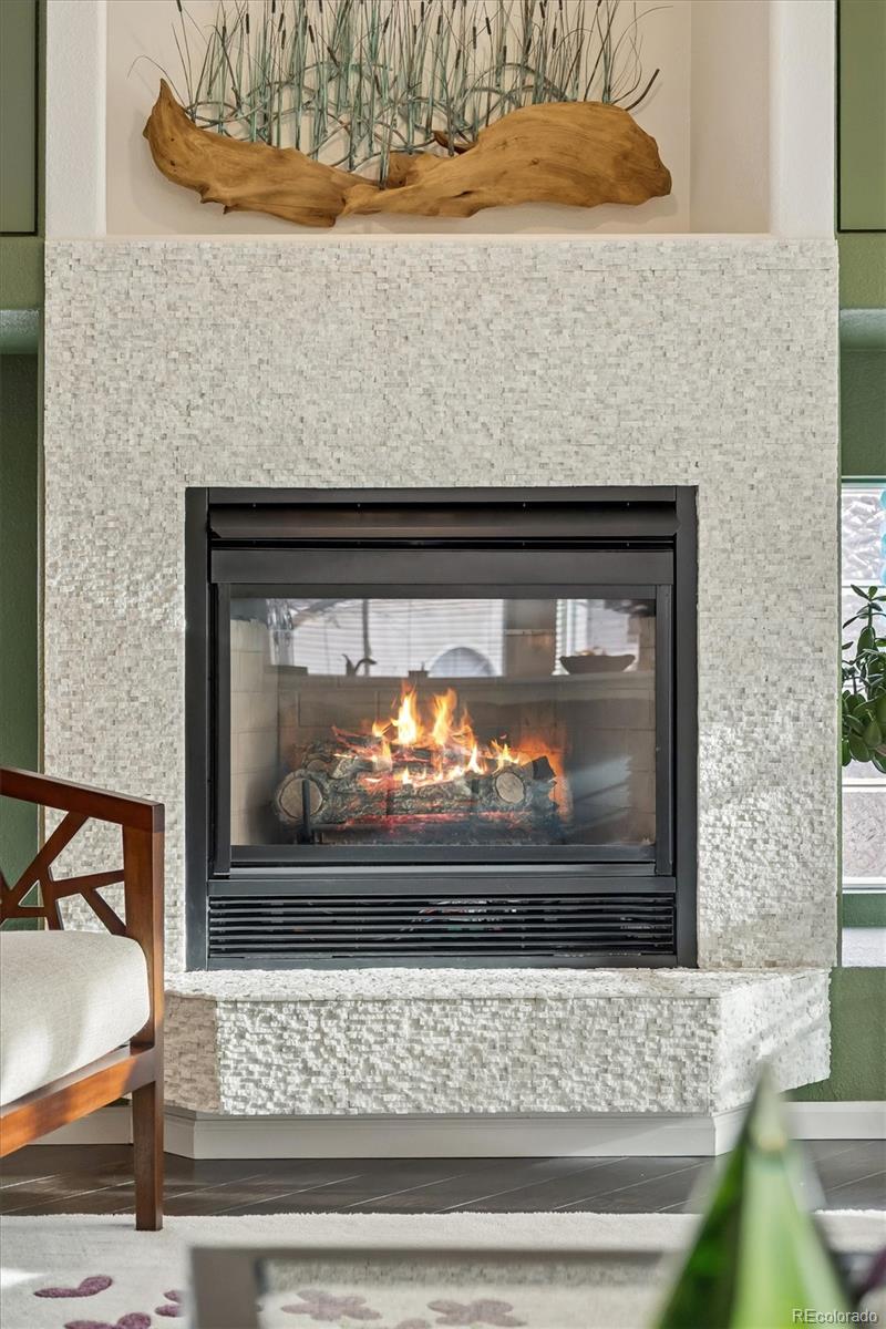 1294 Braewood Avenue Highlands Ranch, CO 80129 - Photo 6 of 27