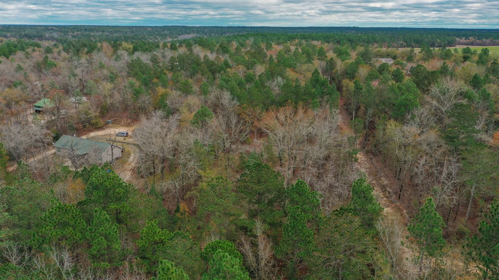 342 Weyerhaeuser Road Aiken, SC 29801 - Photo 3 of 18