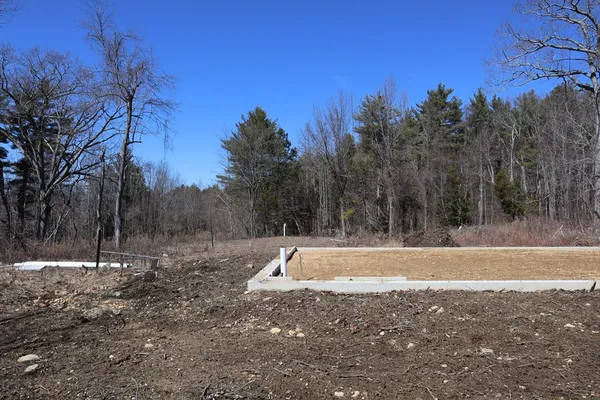 a view of a yard with trees