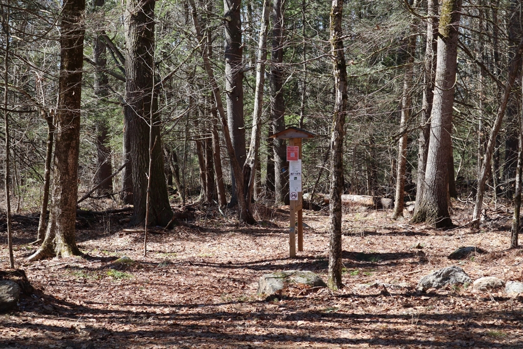 148 Flaherty Road Barre, MA 01005 - Photo 11 of 11 a backyard of a house with lots of trees