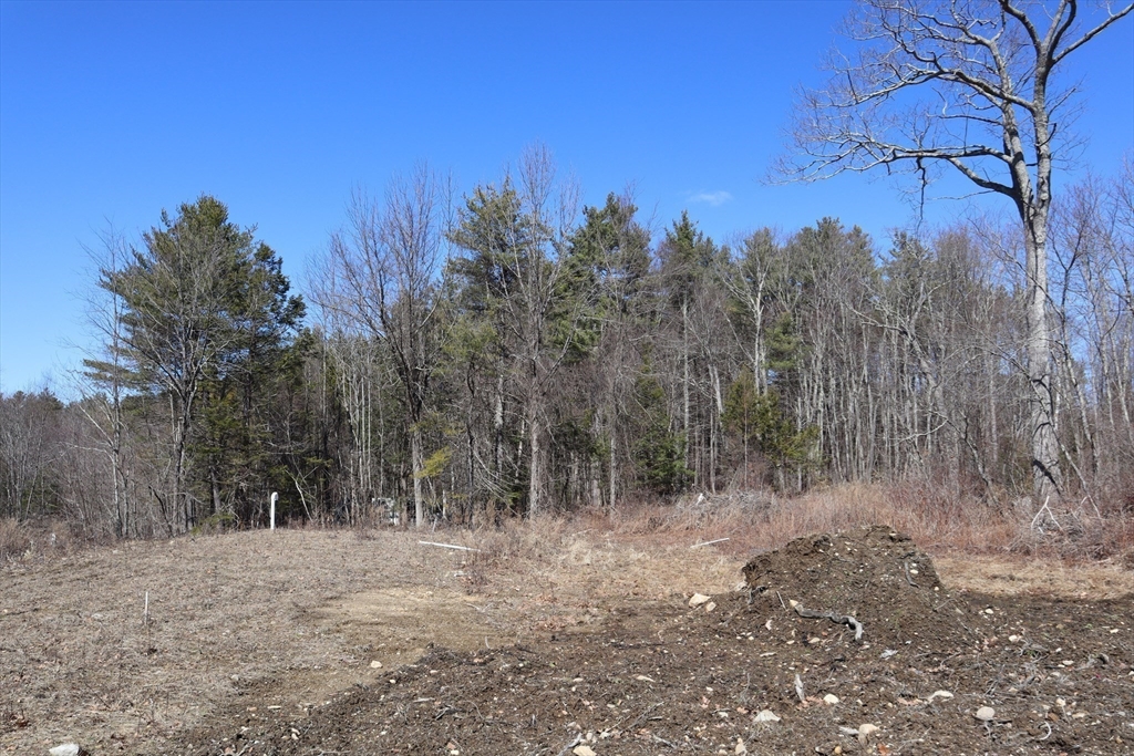 148 Flaherty Road Barre, MA 01005 - Photo 3 of 11 a view of a forest with trees in the background