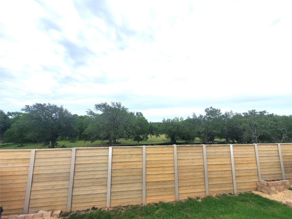 101 Prosecco Path Leander, TX 78641 - Photo 19 of 21 a view of a yard