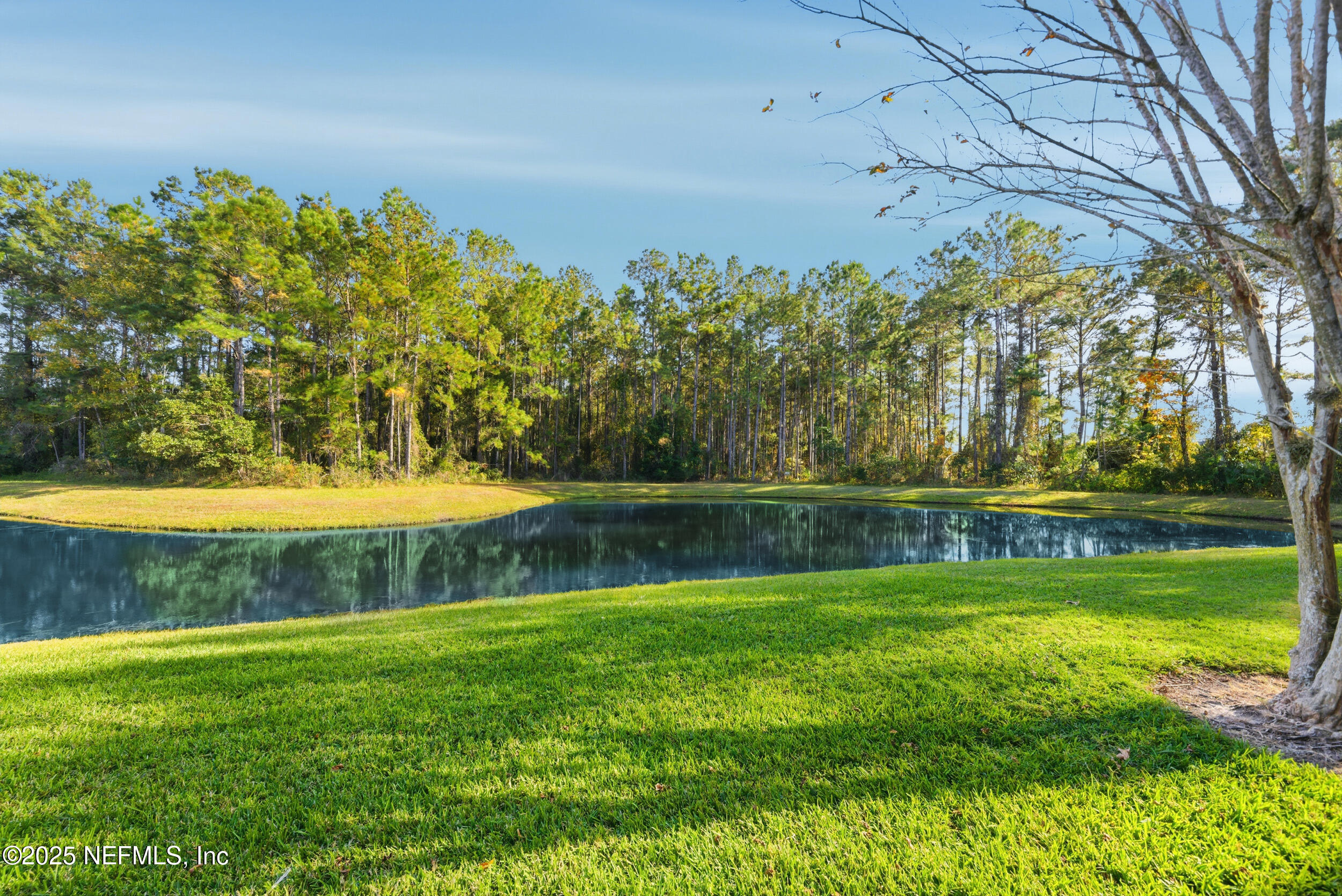 216 Scrub Jay Drive St. Augustine, FL 32092 - Photo 22 of 27 a view of yard with swimming pool and green space