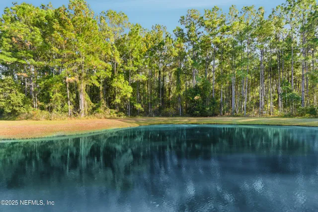 a view of yard with green space