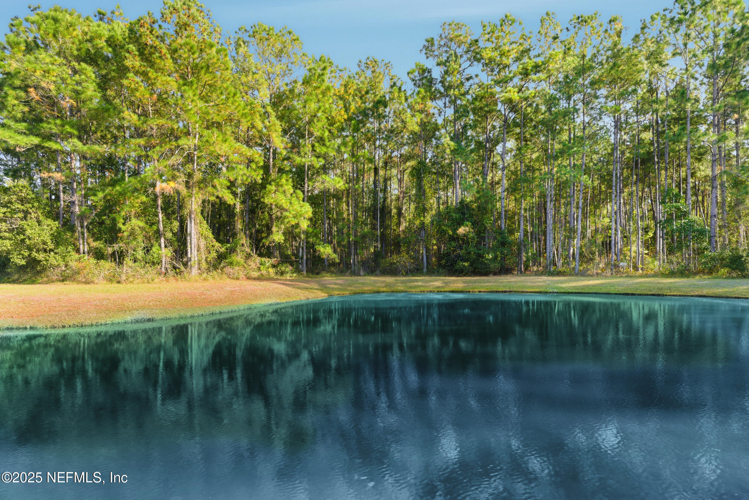 216 Scrub Jay Drive St. Augustine, FL 32092 - Photo 23 of 27 a view of yard with green space