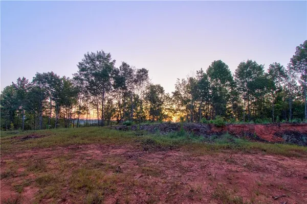 a view of backyard with green space and trees