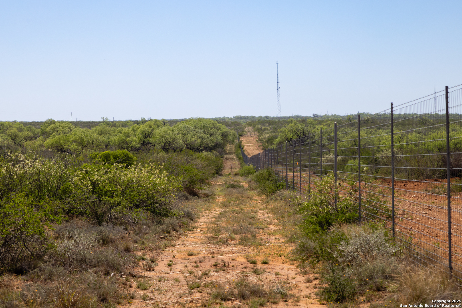 0 Us Hwy 83 N Laredo, TX 78045 - Photo 12 of 34 a view of a garden