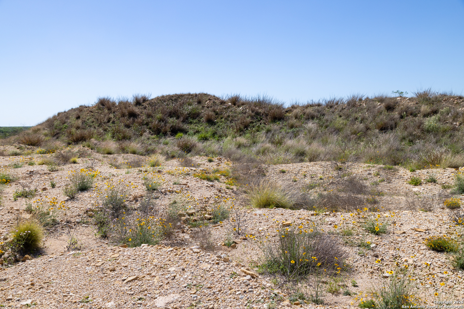 0 Us Hwy 83 N Laredo, TX 78045 - Photo 15 of 34 a view of a dry yard with trees