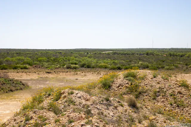 a view of a field of mountains and tree