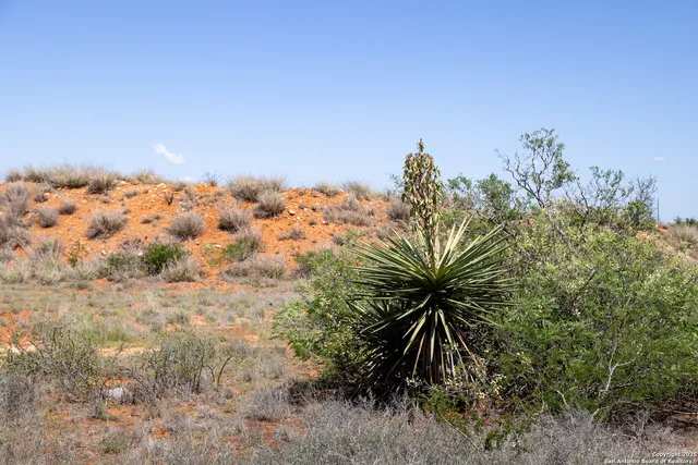 a view of ocean view